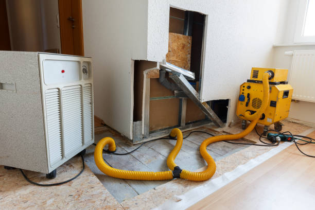 Best Mold Remediation for Vacation Homes  in USA